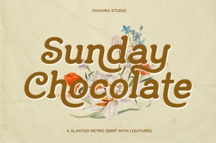 Sunday Chocolate - Retro Serif Font Download