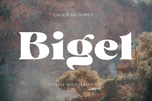 Bigel - Stylish Bold Serif Display Font Font Download
