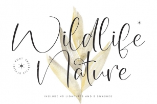 Wildlife Nature Freestyle Stylish Font Font Download