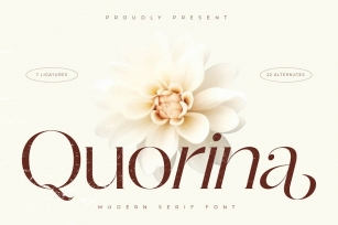 Quorina Modern Serif Font Font Download