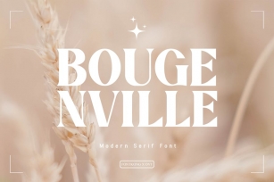 Bougenville - Modern Serif Font Font Download