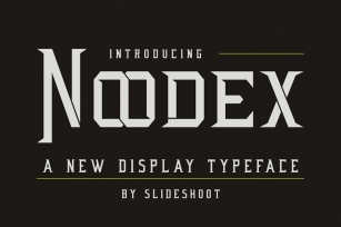 Noodex -  Display Serif  Font Font Download