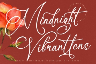 Mindnight Vibranttens Elegant Script Font Download