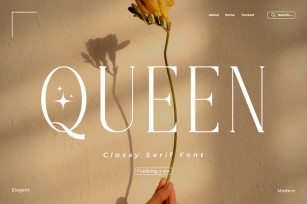 Queen - Classy Serif Font Font Download