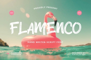 Flamenco Handwritten Script Font Font Download