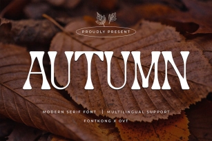 Autumn - Modern Serif Font Font Download