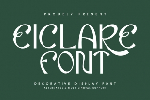 Eiclare Decorative Display Font Font Download