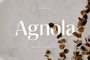 Agnola - Elegant and Modern Sans Serif Font Download