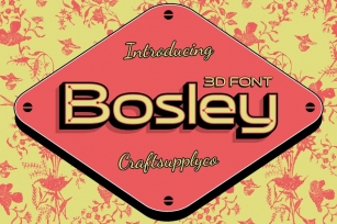CS Bosley 3D Font Download