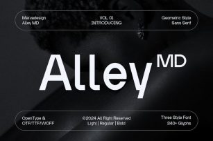 Alley MD - Modern Sans Serif Font Font Download