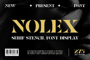 Nolex - Serif Stencil Font Display Font Download
