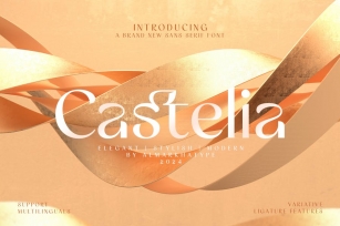 Castelia – Elegant Stylish Sans Font Download