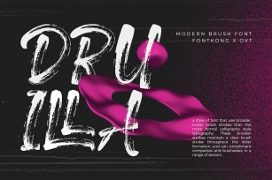 Druilla - Modern Brush Font Font Download