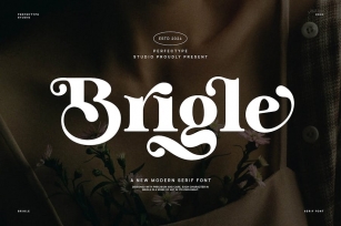 Brigle Modern Elegant Serif Font Typeface Font Download