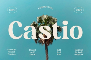 Castio – Bold Font Font Download
