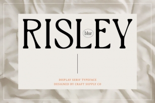 Risley Blur Font Download
