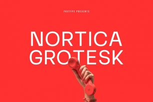 Nortica Grotesk Font Download