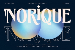 Norique Modern Display Typeface Font Download