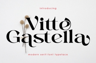 Vitte-Gastella Ligature Serif Font Font Download