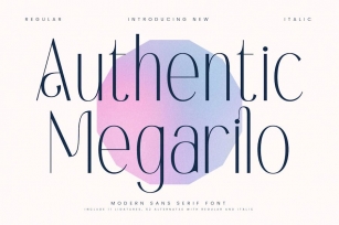 Authentic Megarilo Modern Sans Serif Font Download