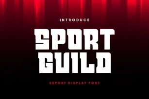 Sport Guild - Esport Display Font Font Download