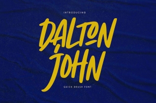 Dalton John - Quick Brush Font Font Download