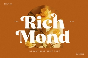 Richmond - Bold Serif Font Font Download