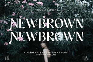 Modern Sans Display Font - Newbrown Font Download