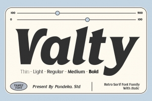 Valty - Modern Sans Font Font Download