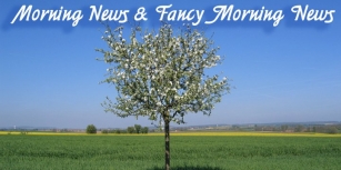Morning News Font Download