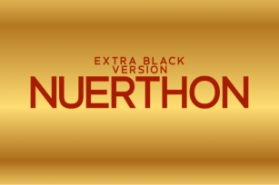 Nuerthon Extra Black Font Download