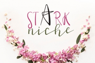 Stark Niche Font Download