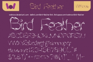 Bird Feather Font Download