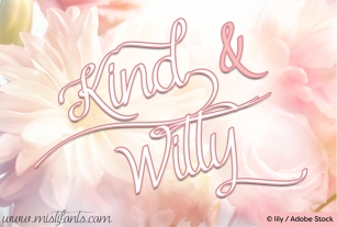 Kind and Witty Font Download