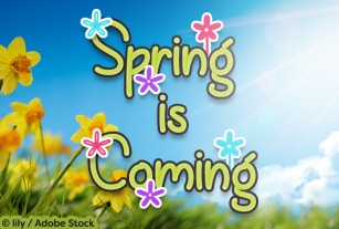 Spring is Coming Font Download