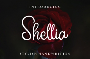 Shellia Script Font Download