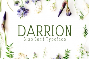 Darrion Font Download
