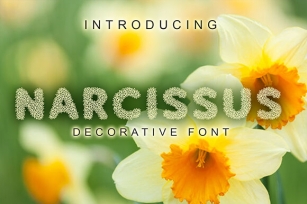 Narcissus Font Download