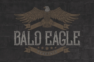 Bald Eagle Font Download