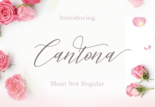 Cantona Font Download