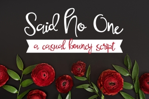 Said No One Font Download