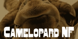 Camelopard NF Font Download