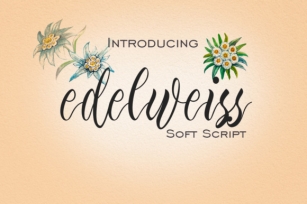 Edelweiss Font Download