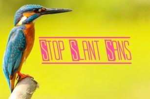 Stop Slant Sans Font Download