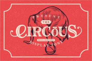 The Circous Font Download