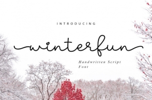 Winterfun Font Download