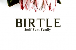 Birtle Font Download