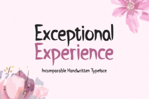 Exceptional Experience Font Download