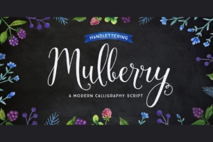 Mulberry Font Download