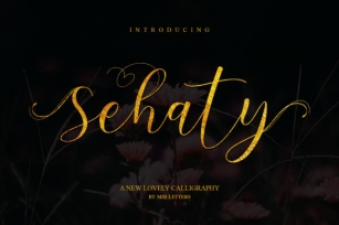 Sehaty Font Download